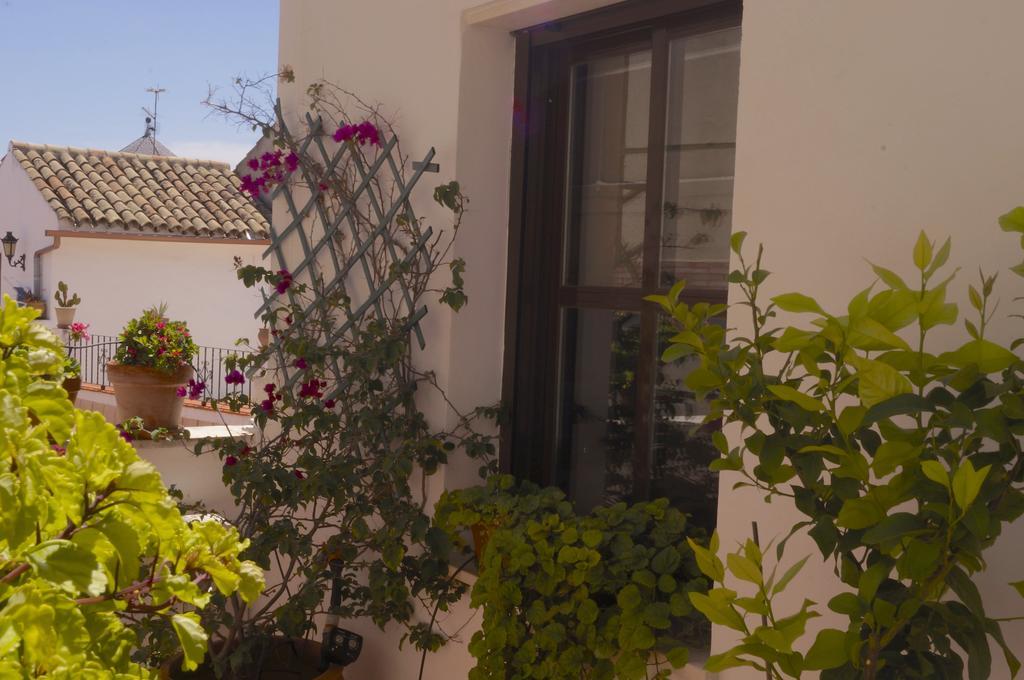 Appartamento Penthouse Puerta De La Juderia Cordova Esterno foto